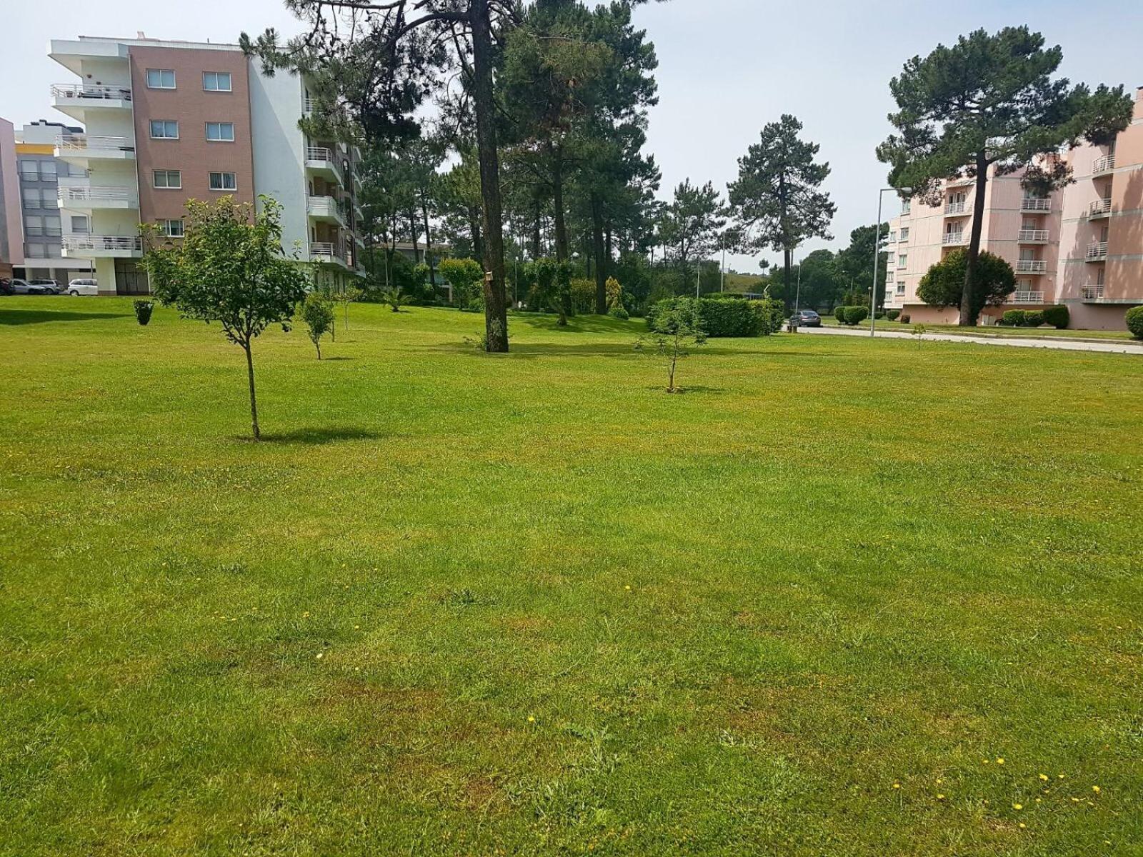 Viana Do Castelo, Cabedelo Beach Apartment Ngoại thất bức ảnh
